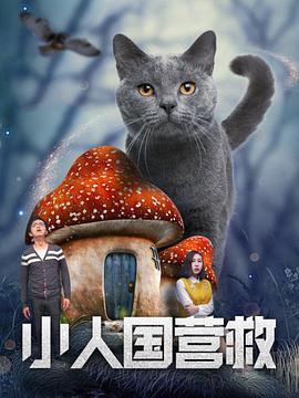 人伦网